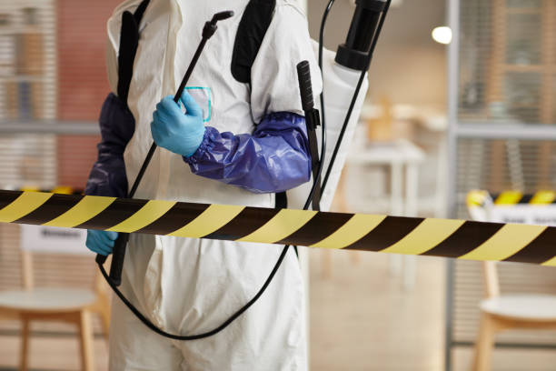 Professional Sewage Cleanup technician working in Stockton, UT